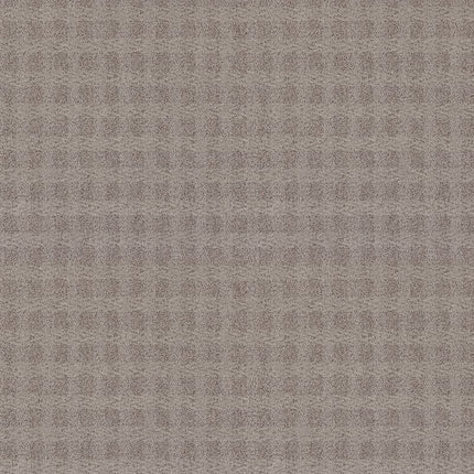 Imagination - ZZ336-00574-Carpet