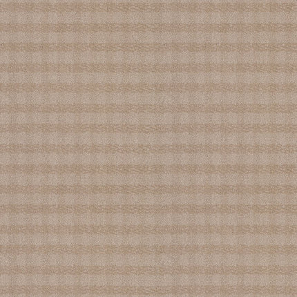 Imagination - ZZ336-00173-Carpet