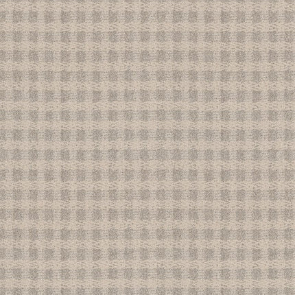 Imagination - ZZ336-00151-Carpet