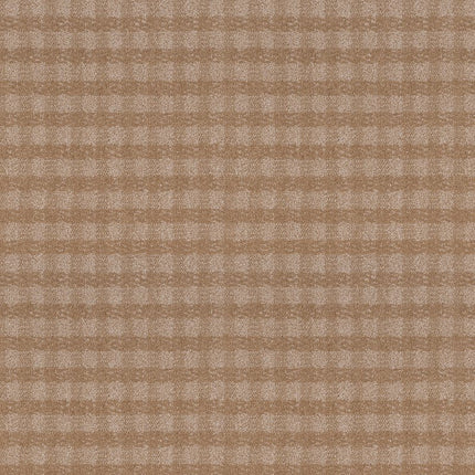 Imagination - ZZ336-00273-Carpet