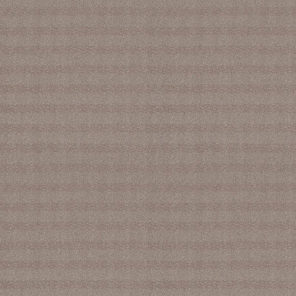 Imagination - ZZ336-00714-Carpet