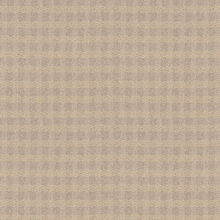 Imagination - ZZ336-00212-Carpet