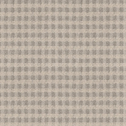 Imagination - ZZ336-00152-Carpet