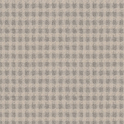 Imagination - ZZ336-00153-Carpet