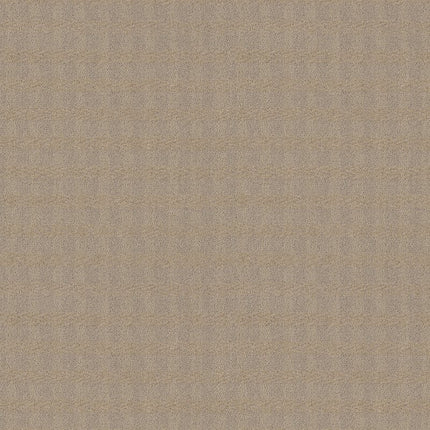 Imagination - ZZ336-00123-Carpet