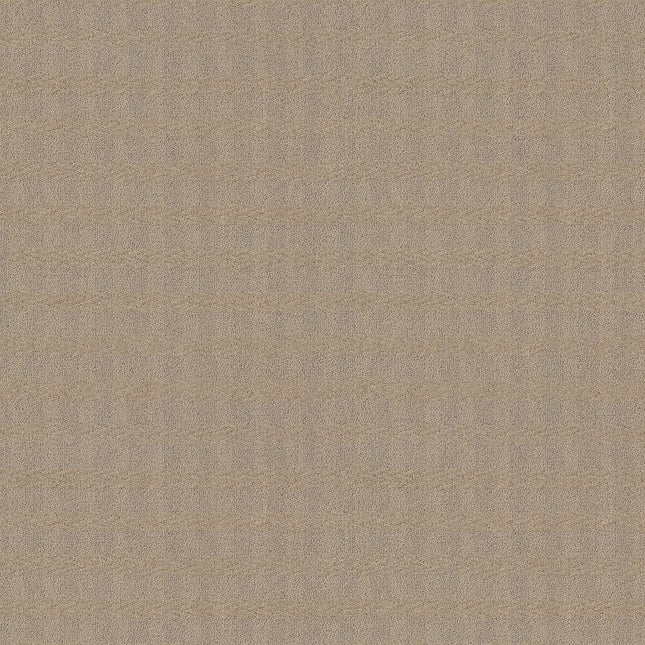 Imagination - ZZ336-00123-Carpet