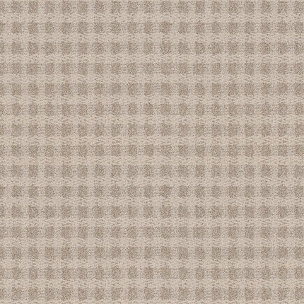 Imagination - ZZ336-00171-Carpet