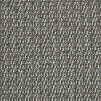 IN HARMONY - 54578 - 78505 - Carpet