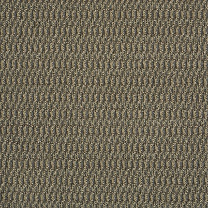 IN HARMONY - 54578 - 78701 - Carpet