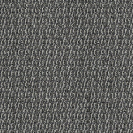 IN HARMONY - 54578 - 78513 - Carpet
