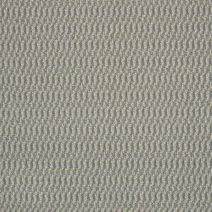 IN HARMONY - 54578 - 78503 - Carpet