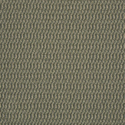 IN HARMONY - 54578 - 78302 - Carpet