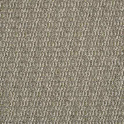 IN HARMONY - 54578 - 78301 - Carpet
