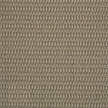 IN HARMONY - 54578 - 78101 - Carpet