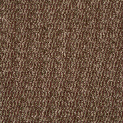 IN HARMONY - 54578 - 78801 - Carpet