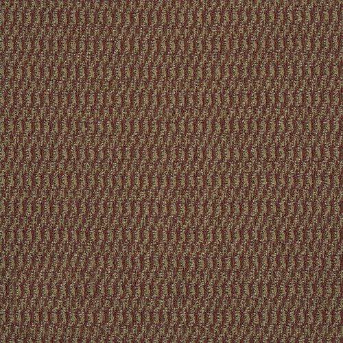 IN HARMONY - 54578 - 78801 - Carpet