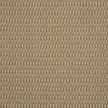 IN HARMONY - 54578 - 78200 - Carpet