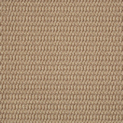 IN HARMONY - 54578 - 78205 - Carpet