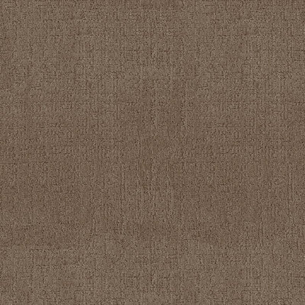 Indulgent - ZZ331-00722-Carpet