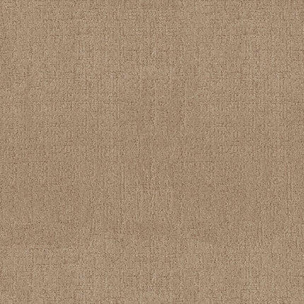 Indulgent - ZZ331-00221-Carpet