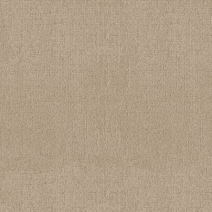 Indulgent - ZZ331-00141-Carpet