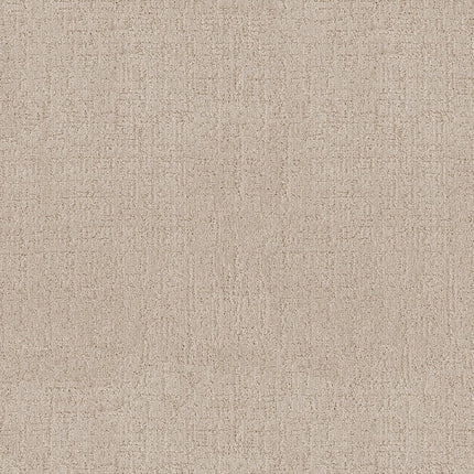 Indulgent - ZZ331-00140-Carpet