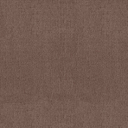 Indulgent - ZZ331-00725-Carpet