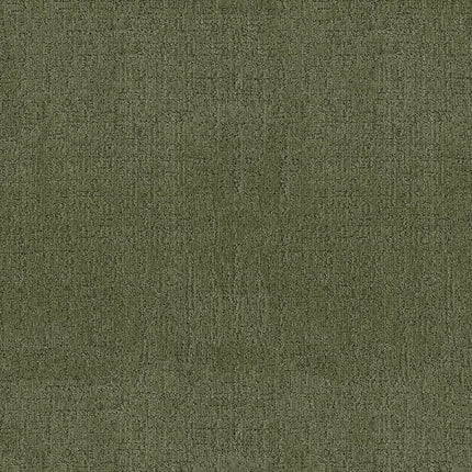 Indulgent - ZZ331-00344-Carpet