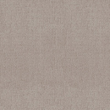 Indulgent - ZZ331-00511-Carpet