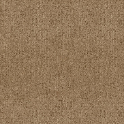 Indulgent - ZZ331-00740-Carpet