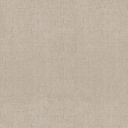 Indulgent - ZZ331-00129-Carpet
