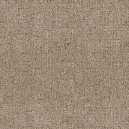 Indulgent - ZZ331-00128-Carpet