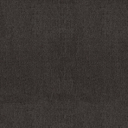 Indulgent - ZZ331-00529-Carpet