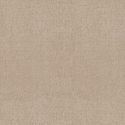 Indulgent - ZZ331-00130-Carpet