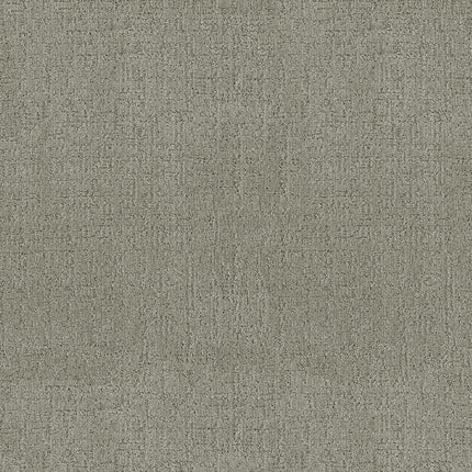 Indulgent - ZZ331-00341-Carpet