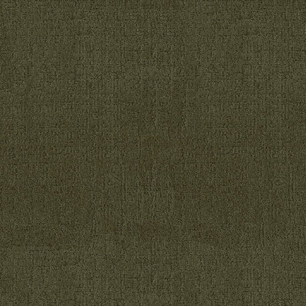 Indulgent - ZZ331-00342-Carpet