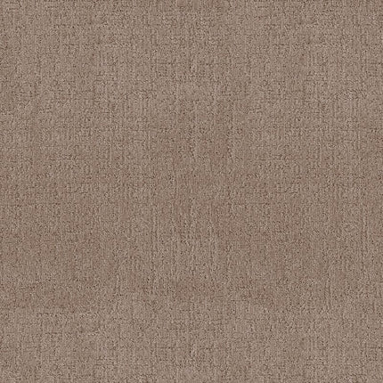 Indulgent - ZZ331-00720-Carpet