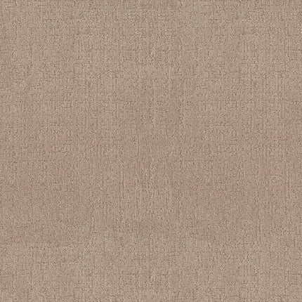 Indulgent - ZZ331-00127-Carpet