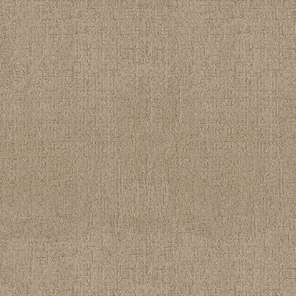 Indulgent - ZZ331-00220-Carpet