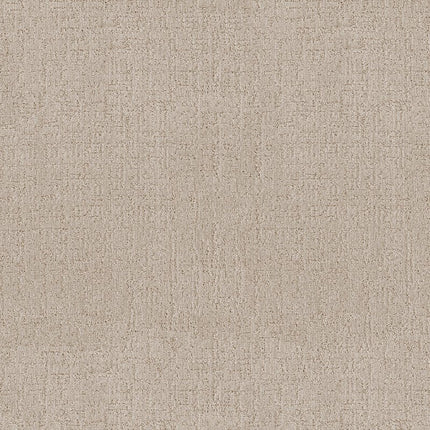 Indulgent - ZZ331-00122-Carpet