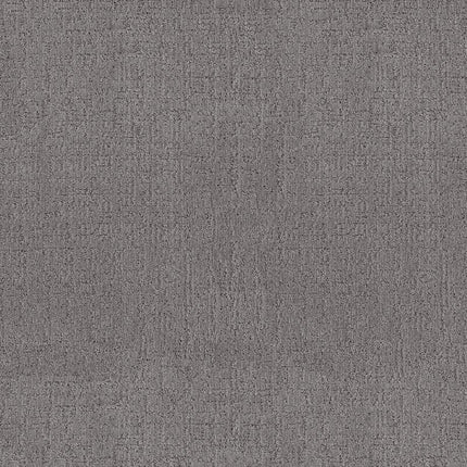 Indulgent - ZZ331-00527-Carpet