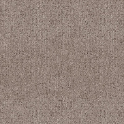 Indulgent - ZZ331-00523-Carpet
