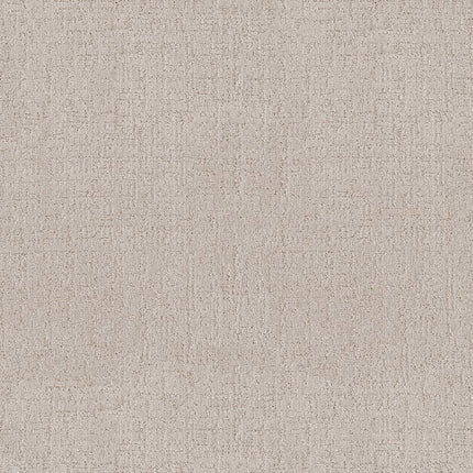 Indulgent - ZZ331-00121-Carpet