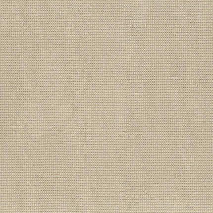 Inspired - ZZ317-00221-Carpet