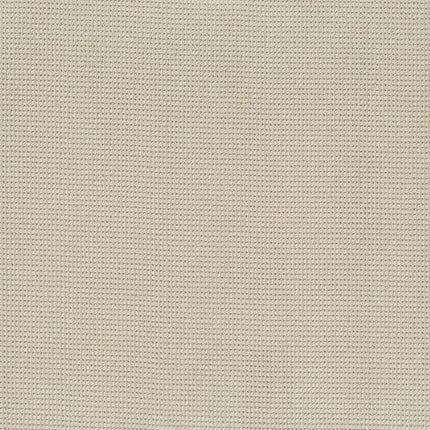 Inspired - ZZ317-00121-Carpet