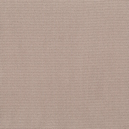 Inspired - ZZ317-00881-Carpet