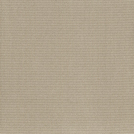 Inspired - ZZ317-00114-Carpet