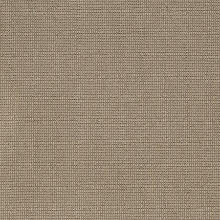 Inspired - ZZ317-00782-Carpet