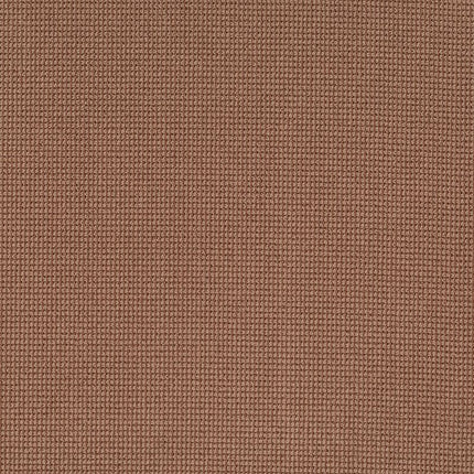 Inspired - ZZ317-00864-Carpet