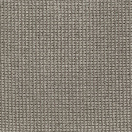 Inspired - ZZ317-00572-Carpet